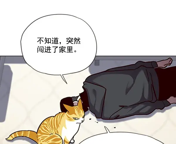 漫画《觉醒吧，铲屎官！》第58话第65张图