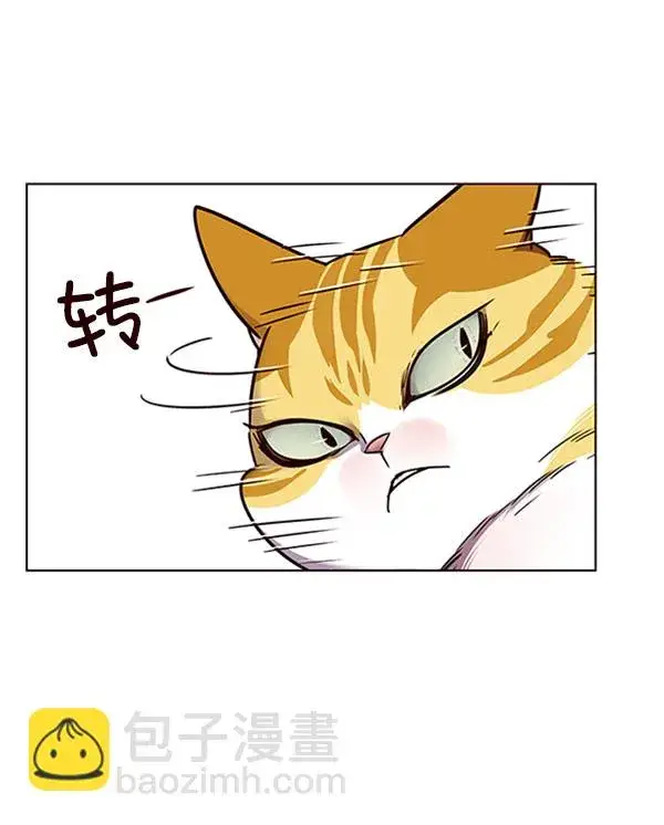 漫画《觉醒吧，铲屎官！》第58话第7张图
