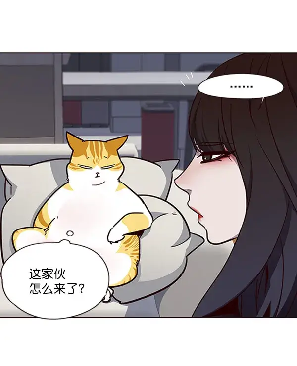 漫画《觉醒吧，铲屎官！》第59话第77张图