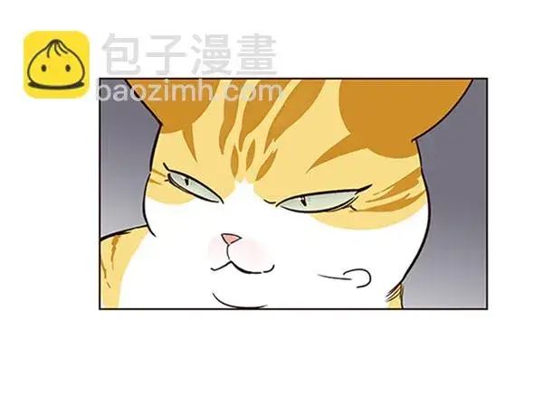 漫画《觉醒吧，铲屎官！》第59话第91张图