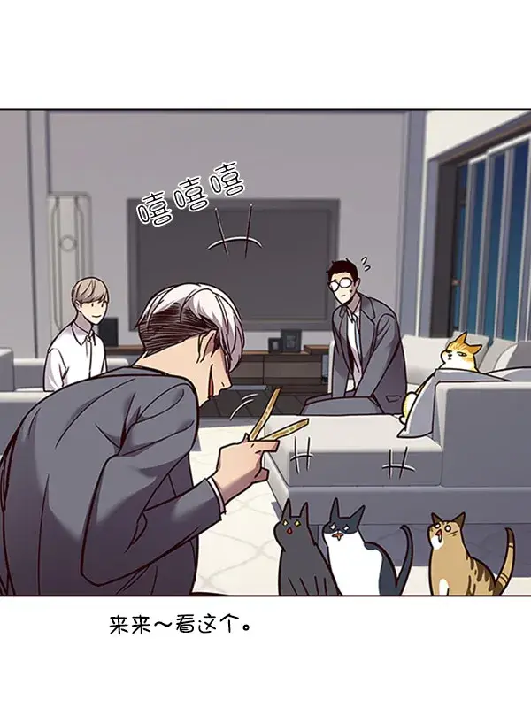 漫画《觉醒吧，铲屎官！》第60话第52张图