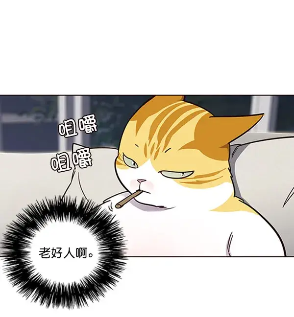 漫画《觉醒吧，铲屎官！》第61话第84张图