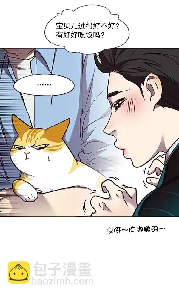 漫画《觉醒吧，铲屎官！》第62话第52张图