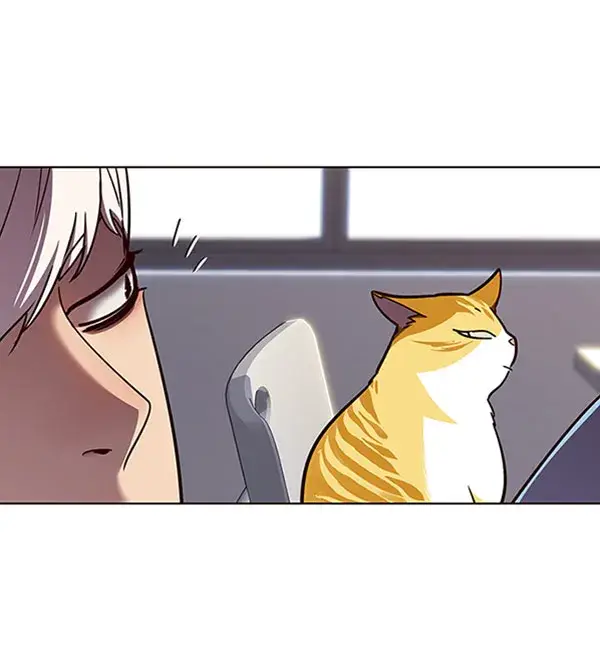 漫画《觉醒吧，铲屎官！》第62话第70张图