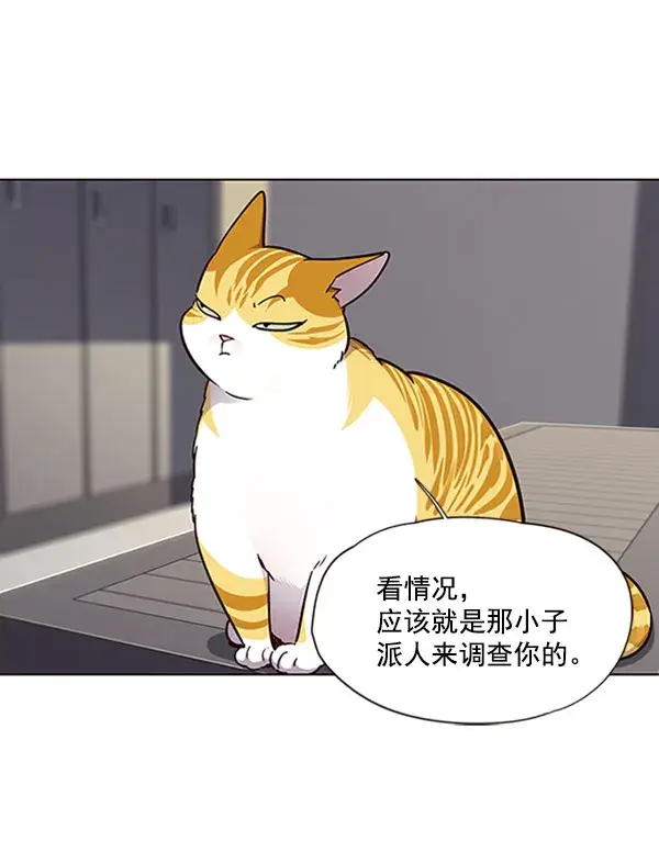 漫画《觉醒吧，铲屎官！》第63话第48张图