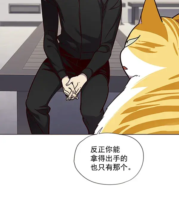 漫画《觉醒吧，铲屎官！》第63话第52张图