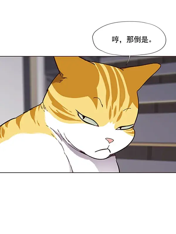 漫画《觉醒吧，铲屎官！》第64话第73张图
