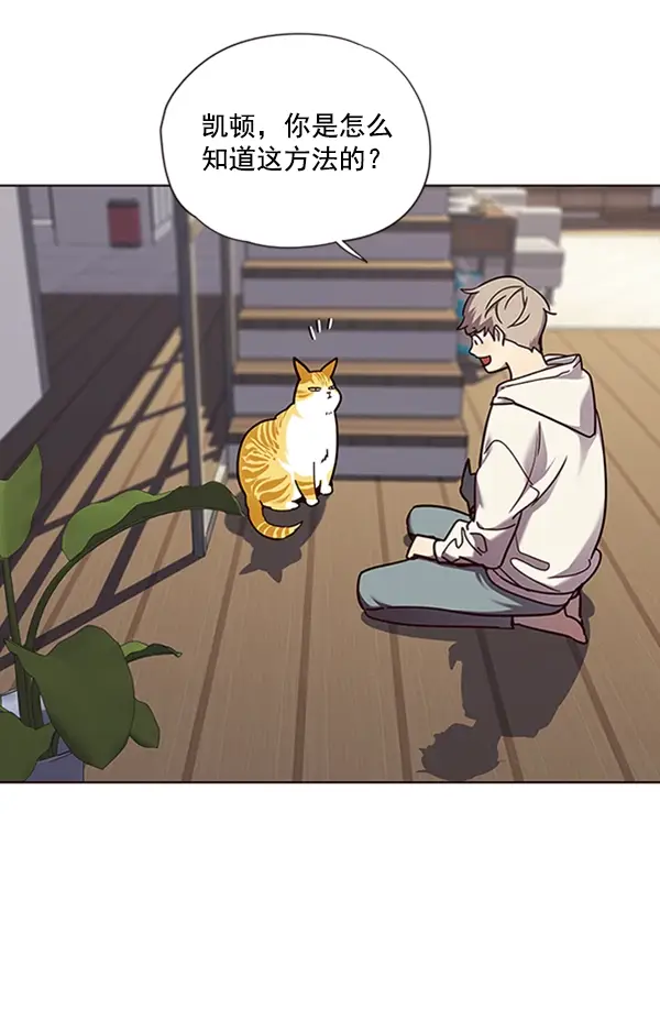 漫画《觉醒吧，铲屎官！》第64话第75张图