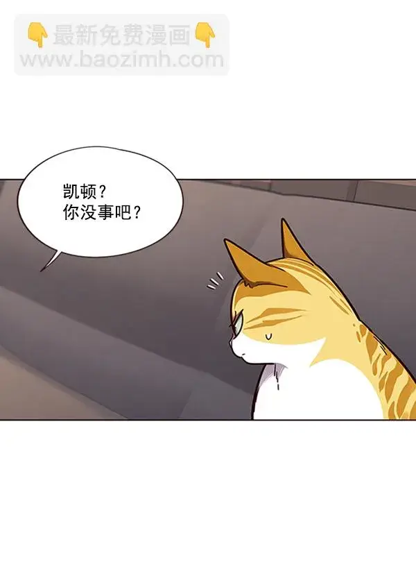 漫画《觉醒吧，铲屎官！》第65话第17张图