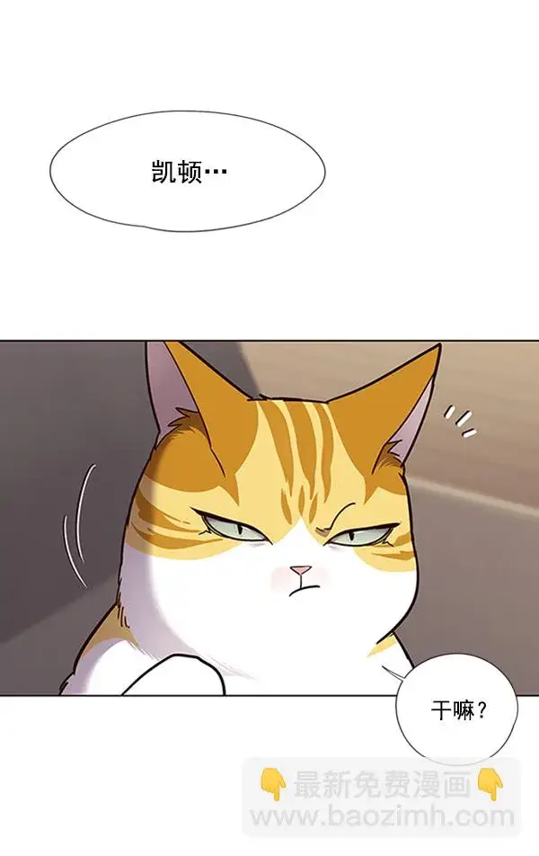 漫画《觉醒吧，铲屎官！》第65话第86张图