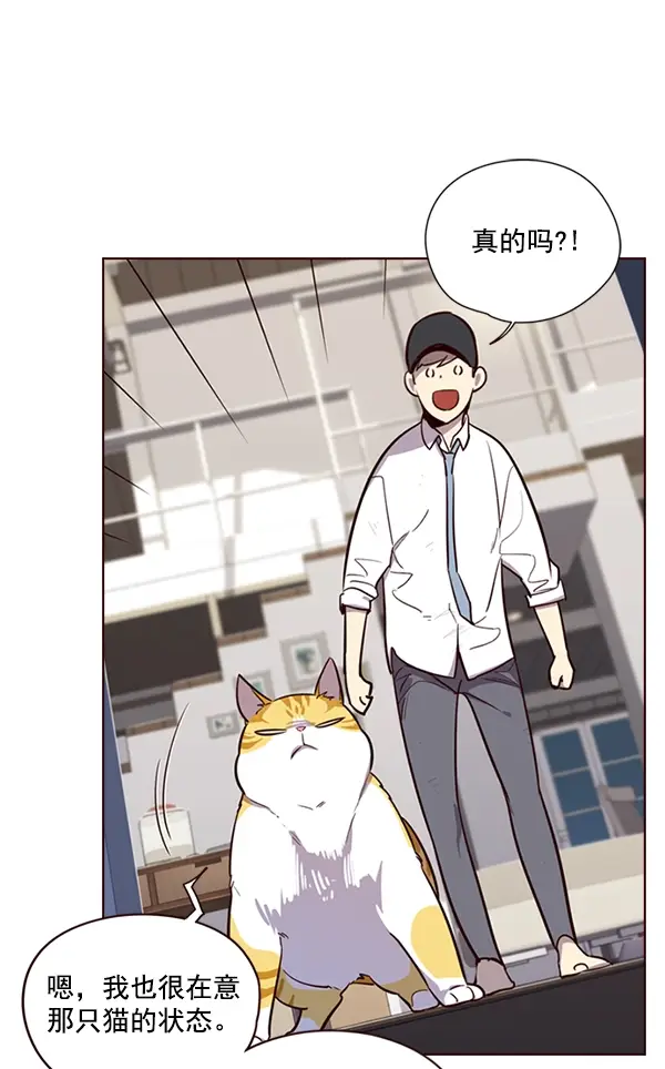 《觉醒吧，铲屎官！》第4话图110