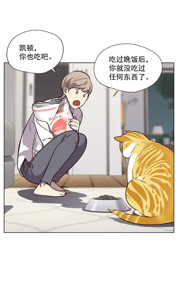 《觉醒吧，铲屎官！》第4话图82