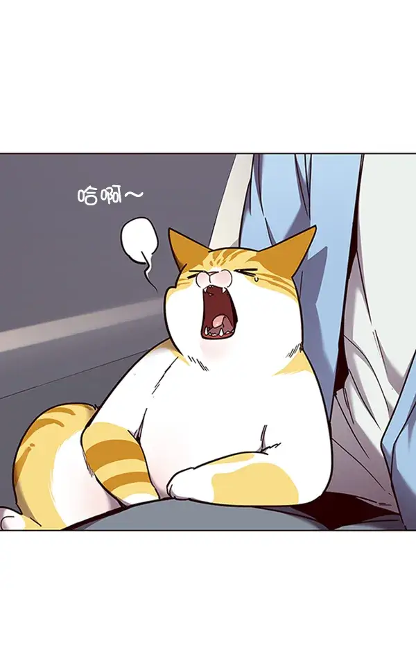 漫画《觉醒吧，铲屎官！》第67话第38张图