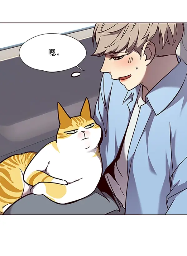 漫画《觉醒吧，铲屎官！》第67话第42张图