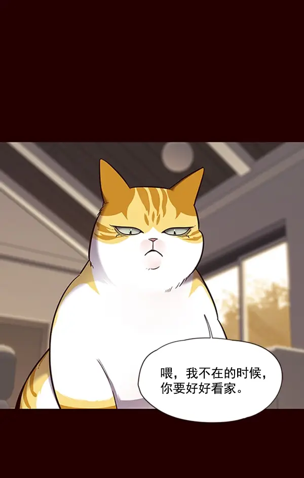 漫画《觉醒吧，铲屎官！》第67话第44张图