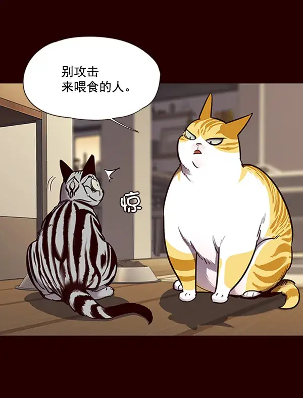 漫画《觉醒吧，铲屎官！》第67话第45张图