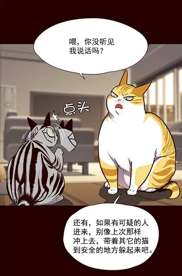 漫画《觉醒吧，铲屎官！》第67话第47张图