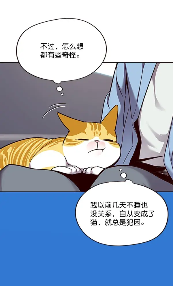 漫画《觉醒吧，铲屎官！》第67话第57张图