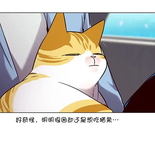 漫画《觉醒吧，铲屎官！》第67话第70张图