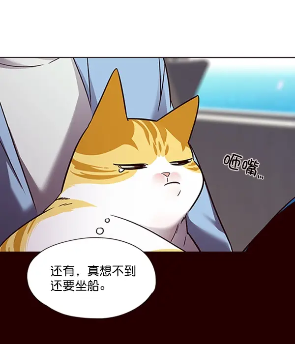 漫画《觉醒吧，铲屎官！》第67话第71张图