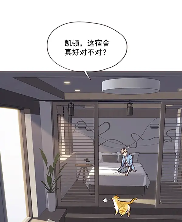 漫画《觉醒吧，铲屎官！》第68话第40张图