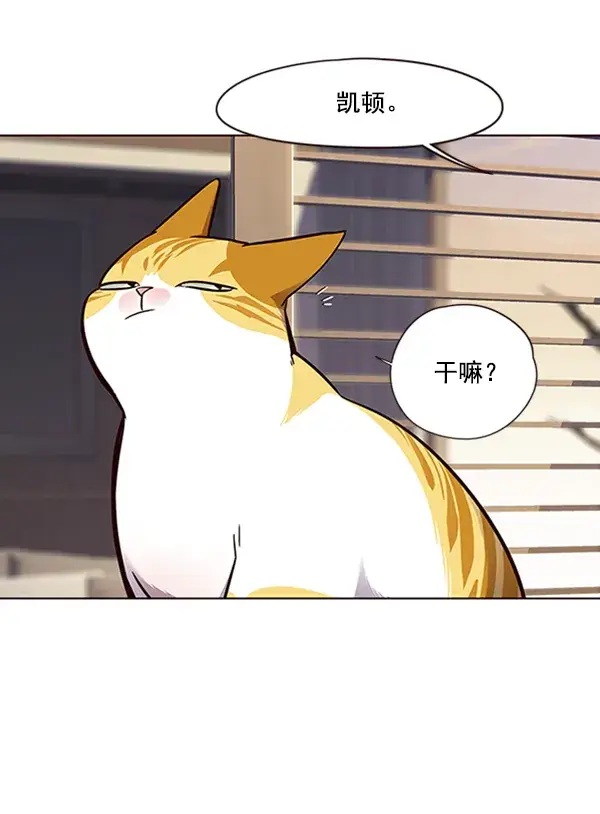 漫画《觉醒吧，铲屎官！》第69话第74张图