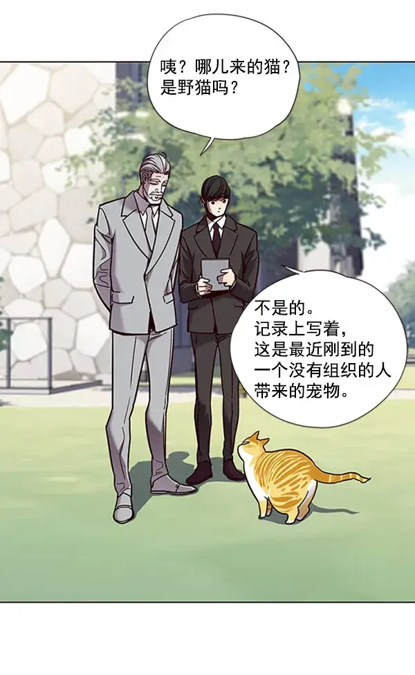 漫画《觉醒吧，铲屎官！》第71话第93张图