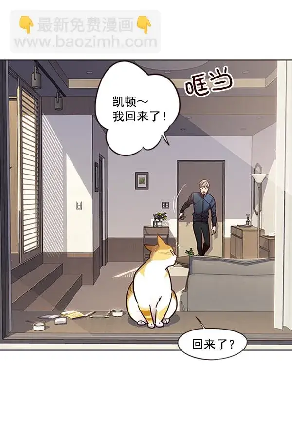漫画《觉醒吧，铲屎官！》第72话第82张图