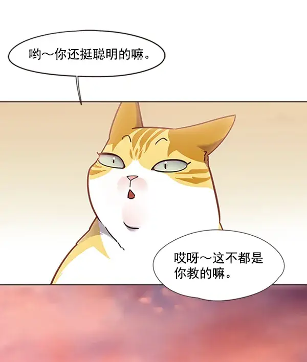 漫画《觉醒吧，铲屎官！》第72话第90张图
