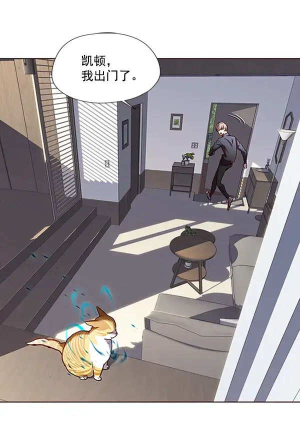 漫画《觉醒吧，铲屎官！》第73话第26张图