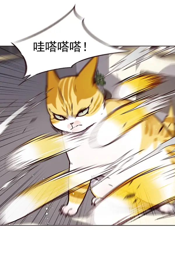 漫画《觉醒吧，铲屎官！》第74话第92张图