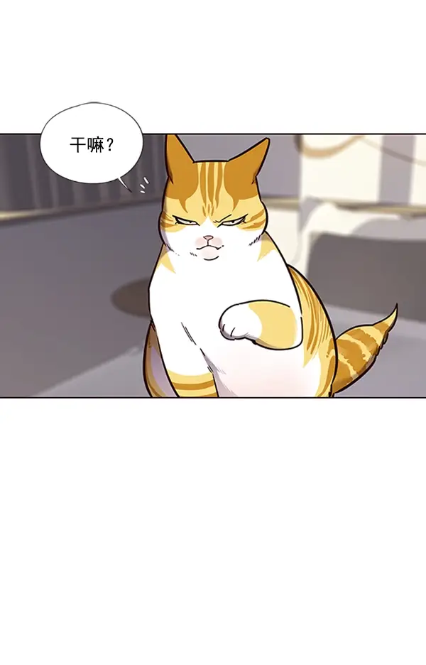 漫画《觉醒吧，铲屎官！》第74话第97张图