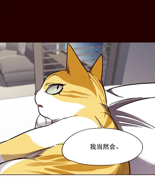 漫画《觉醒吧，铲屎官！》第75话第53张图