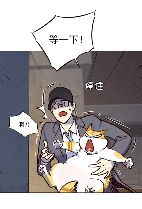 《觉醒吧，铲屎官！》第5话图42