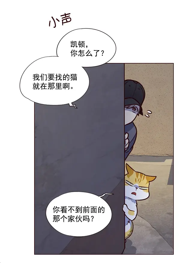 《觉醒吧，铲屎官！》第5话图47