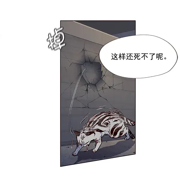 《觉醒吧，铲屎官！》第5话图58