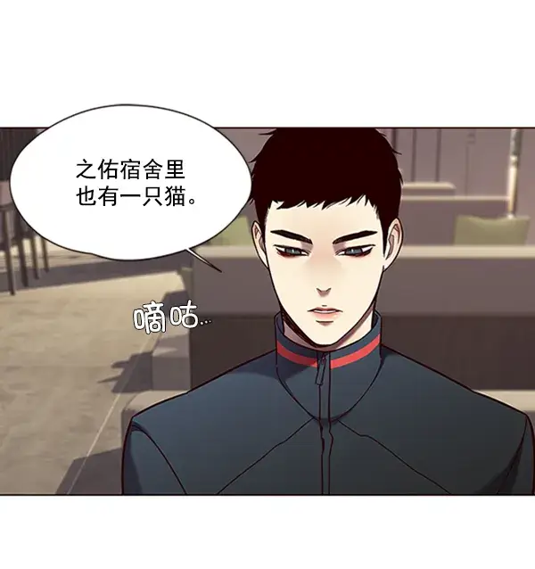 漫画《觉醒吧，铲屎官！》第78话第94张图