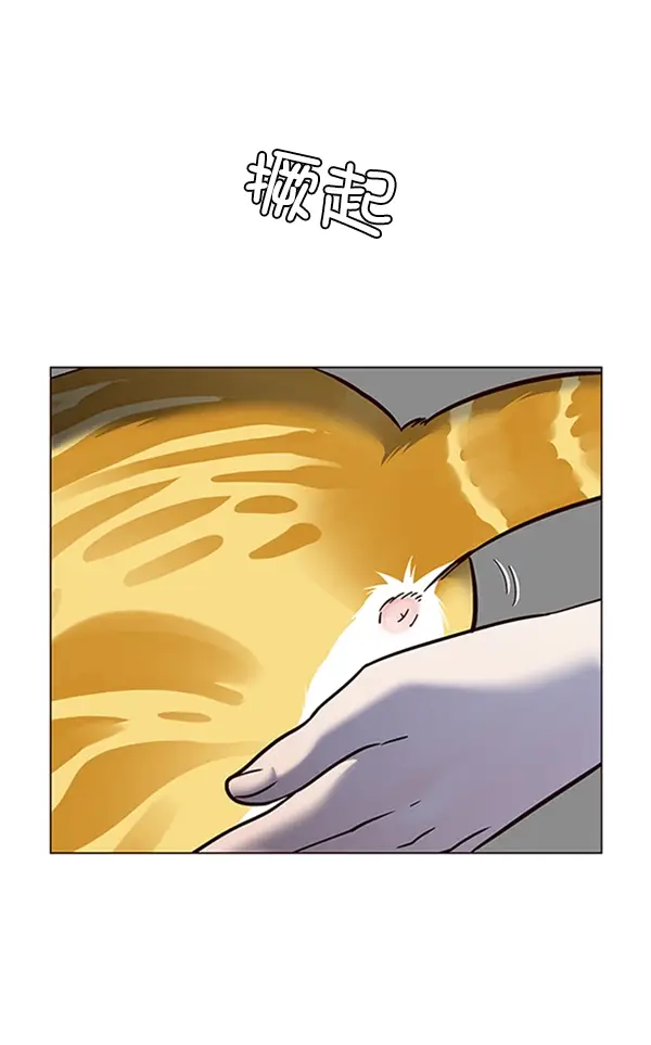 漫画《觉醒吧，铲屎官！》第80话第103张图