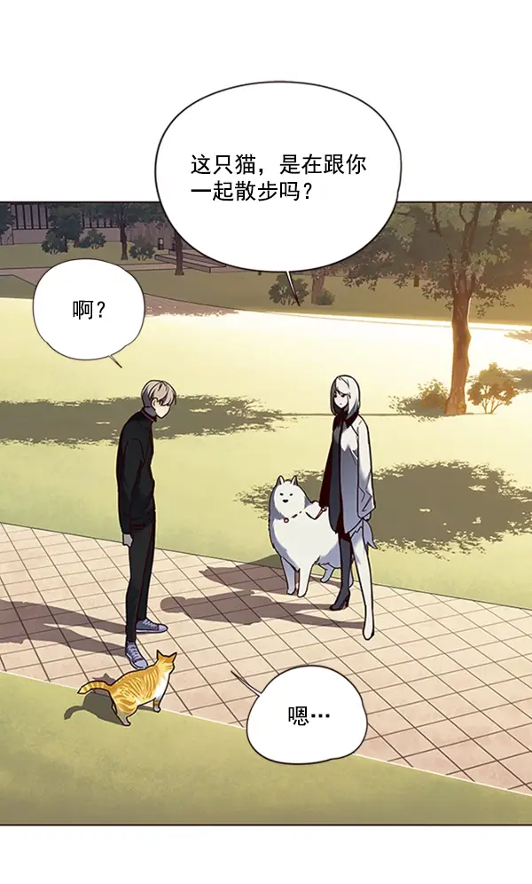 漫画《觉醒吧，铲屎官！》第80话第75张图