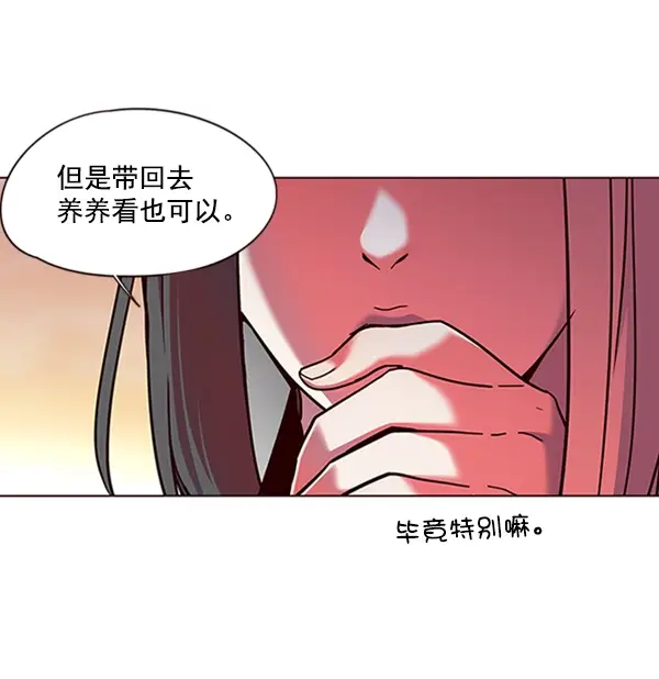 漫画《觉醒吧，铲屎官！》第80话第79张图