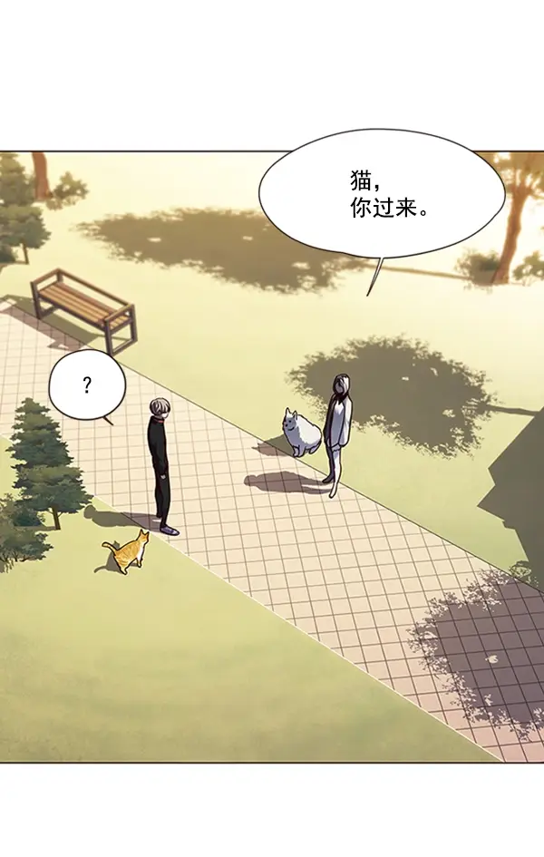 漫画《觉醒吧，铲屎官！》第80话第82张图