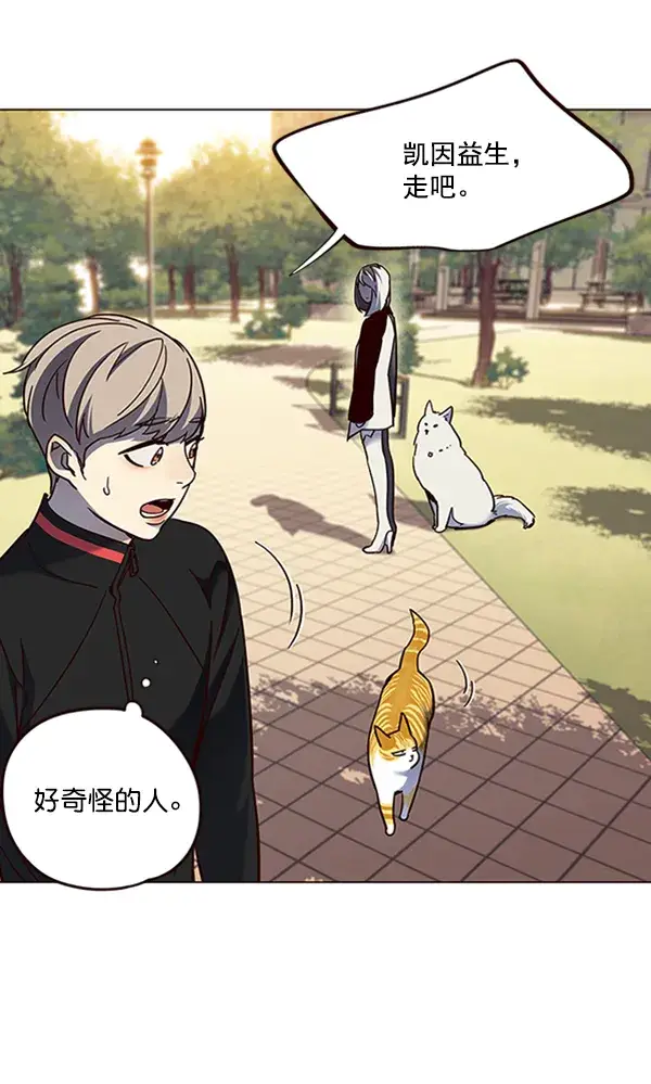 漫画《觉醒吧，铲屎官！》第80话第86张图
