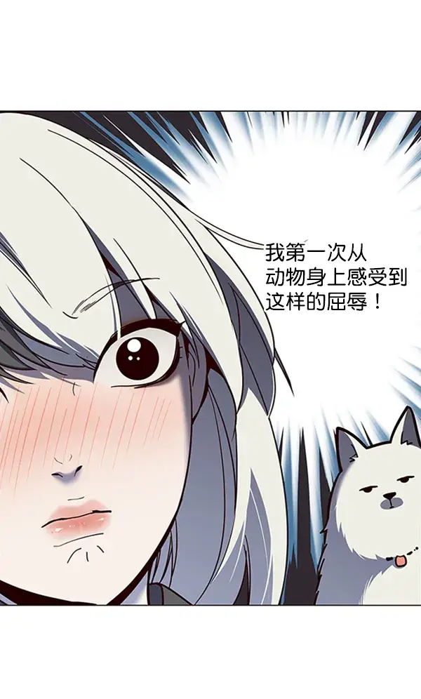 漫画《觉醒吧，铲屎官！》第81话第10张图