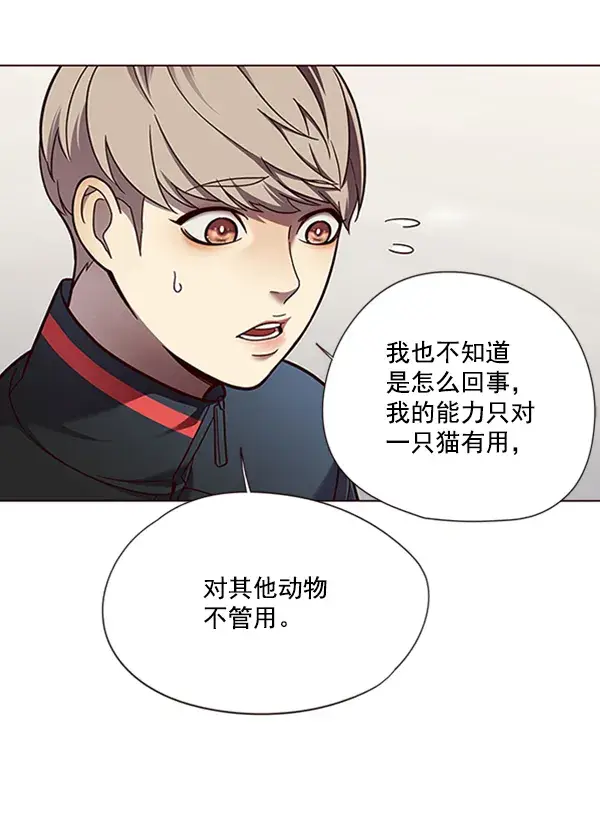 漫画《觉醒吧，铲屎官！》第81话第106张图
