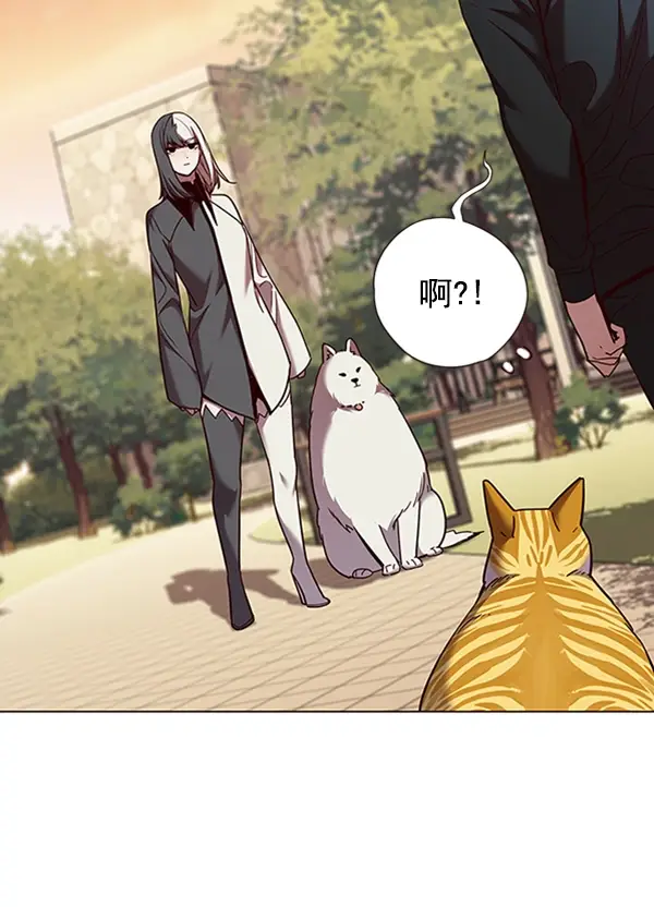 漫画《觉醒吧，铲屎官！》第81话第40张图