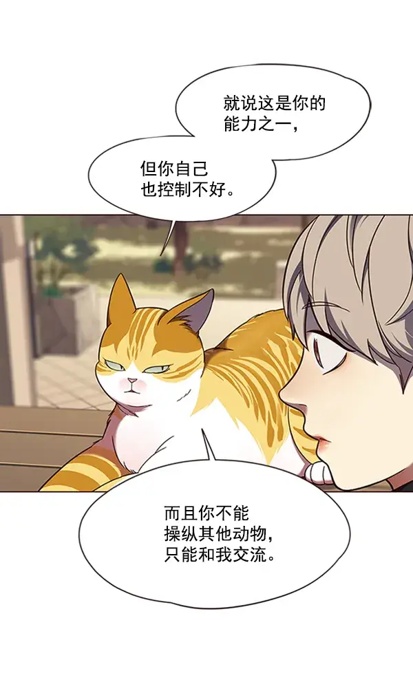 漫画《觉醒吧，铲屎官！》第81话第56张图