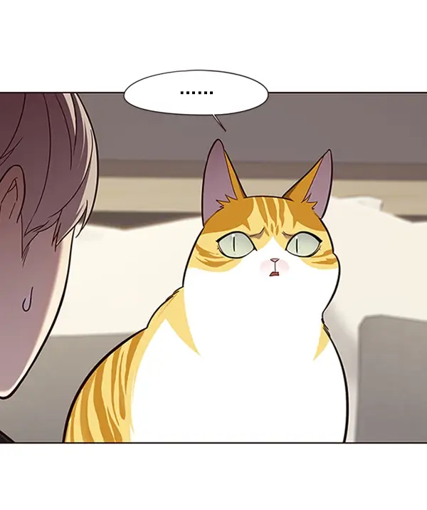 漫画《觉醒吧，铲屎官！》第82话第6张图
