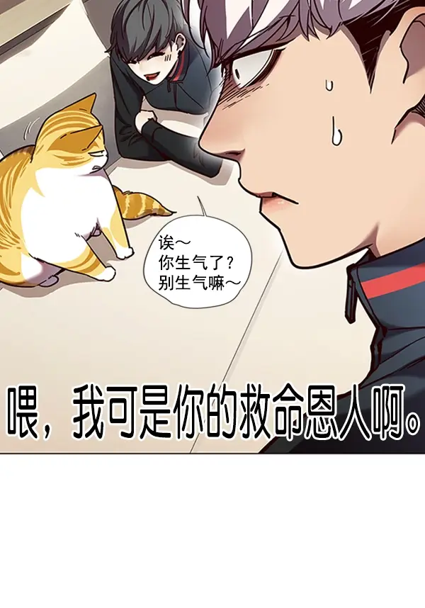 漫画《觉醒吧，铲屎官！》第82话第64张图