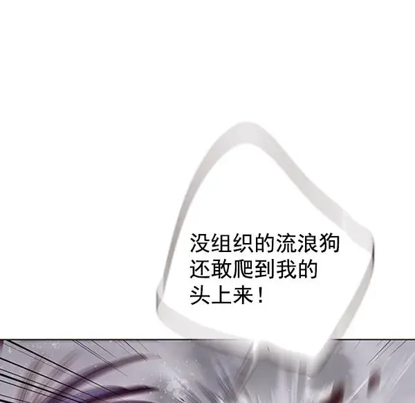 漫画《觉醒吧，铲屎官！》第86话第118张图