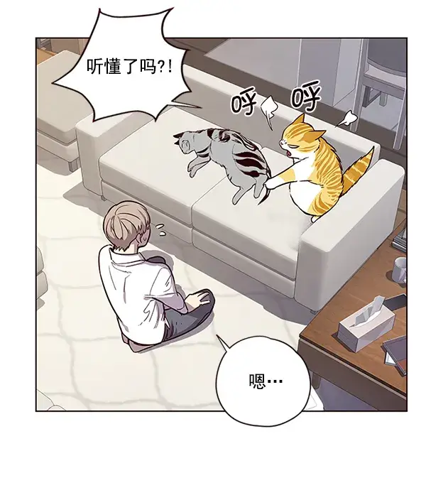 《觉醒吧，铲屎官！》第6话图36